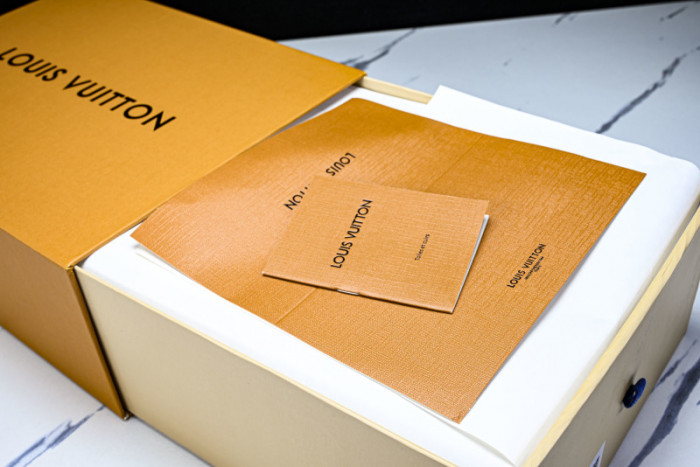 LOU VUIT OTHERS SNEAKERS LVOTS-011