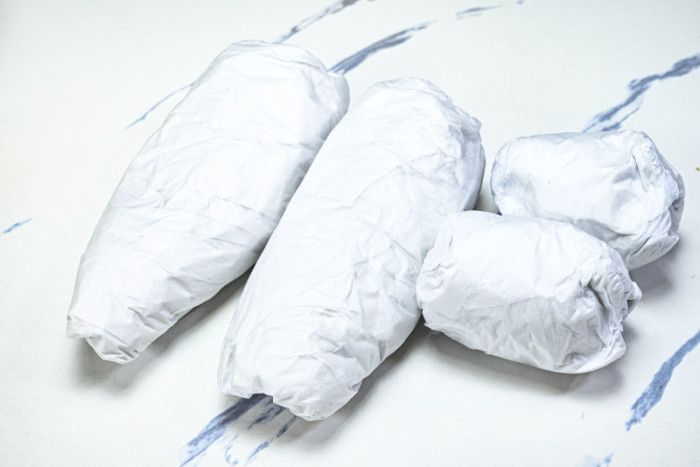 LOU VUIT SKATE LVSK-0029