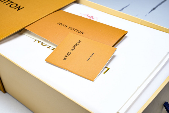 LOU VUIT SKATE LVSK-0031