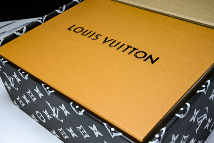 LOU VUIT SKATE LVSK-0033