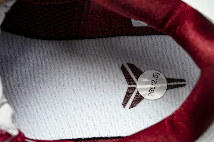 Nike Kobe 5 Protro “Lower Merion Aces” IM0557-001