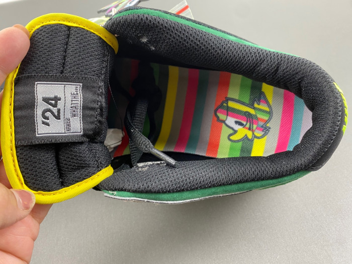 Nike Dunk Low “What The Ducks Of A Feather” HJ4320-001