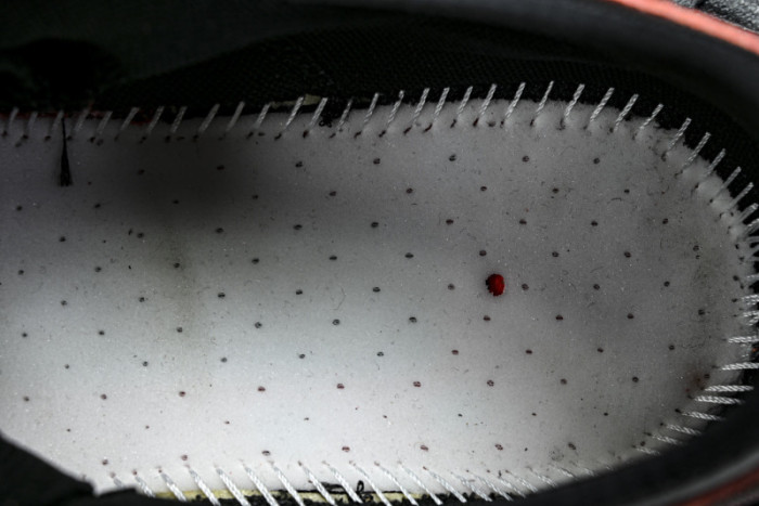 BALENGA HIKE BAHE-002