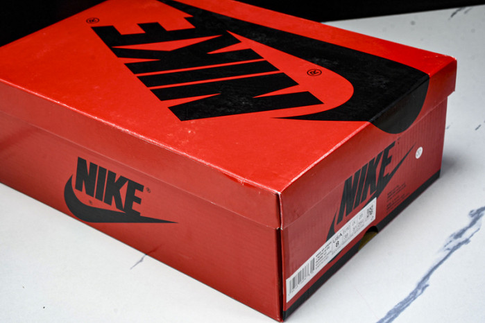 Air Jordan 1 High OG "Starfish" DO9369-101