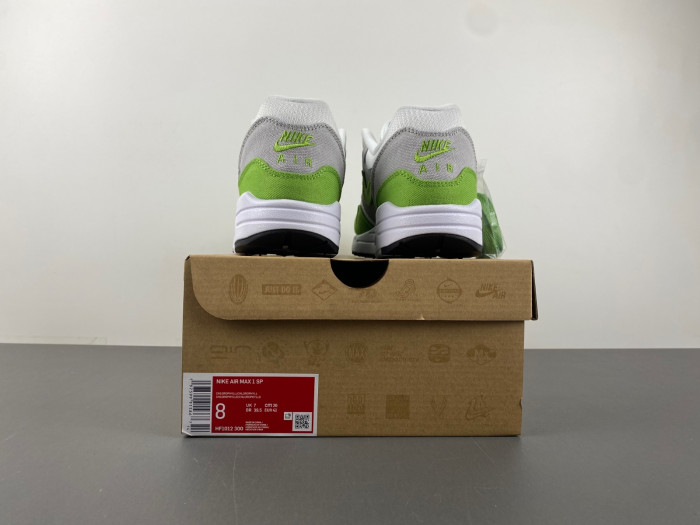 Nike Air Max 1 HF1012-300
