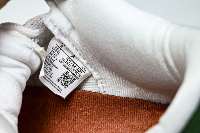 Air Jordan 3 Mexico "El Vuelo" IO1752-100