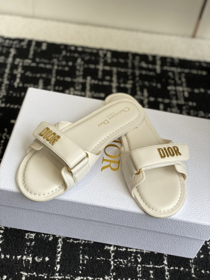 D10r slides ds-083