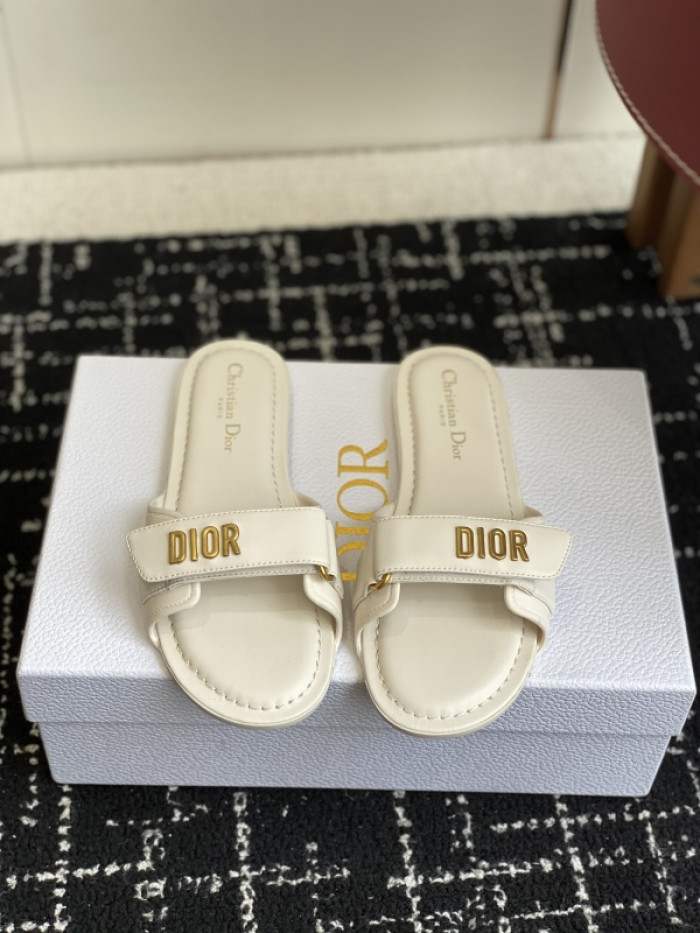 D10r slides ds-083