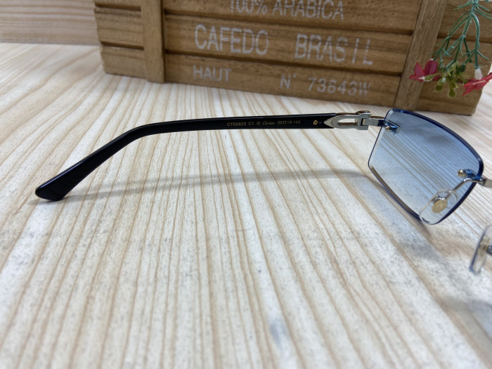 GLASSESS CT C-003