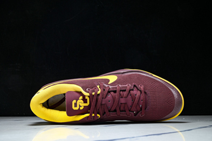 Nike Kobe 8 Protro H023-HF7484