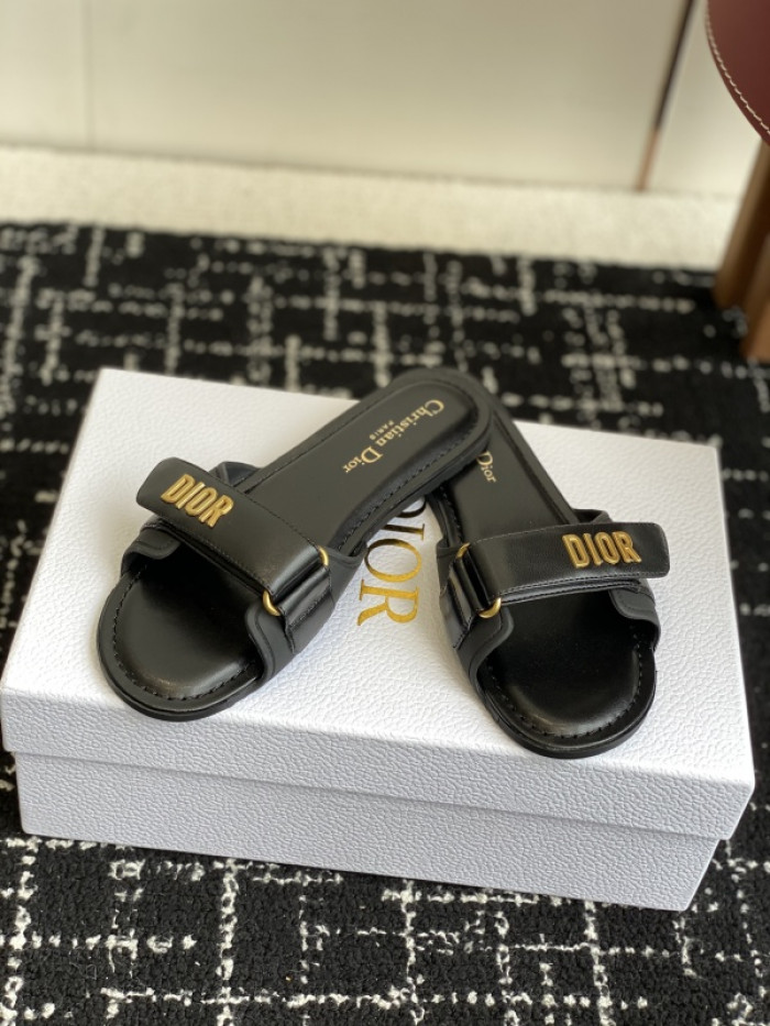 D10r slides ds-082