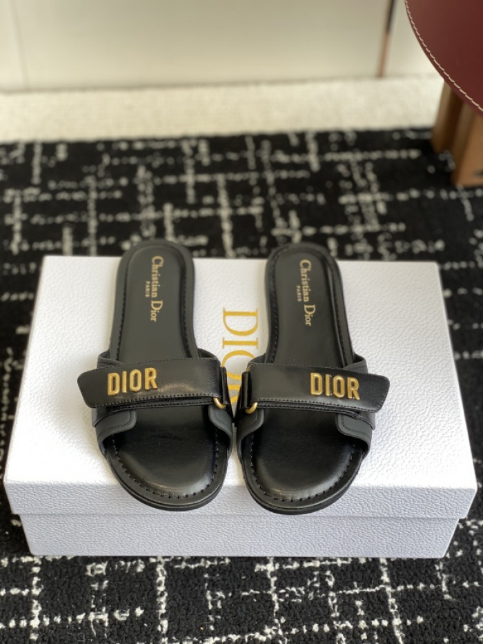 D10r slides ds-082