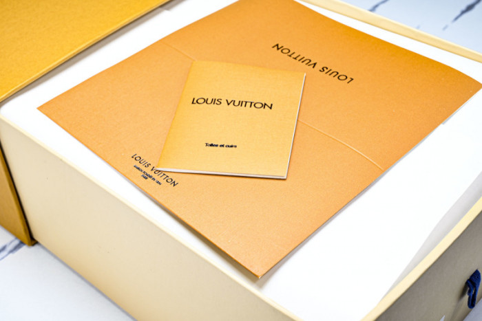 LOU VUIT SKATE LVSK-0030