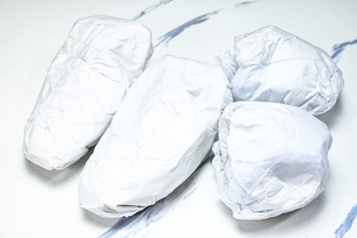 LOU VUIT SKATE LVSK-0030