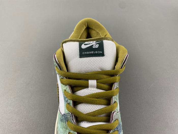 Nike Dunk Low 