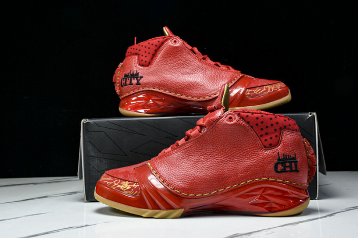 Air Jordan 23