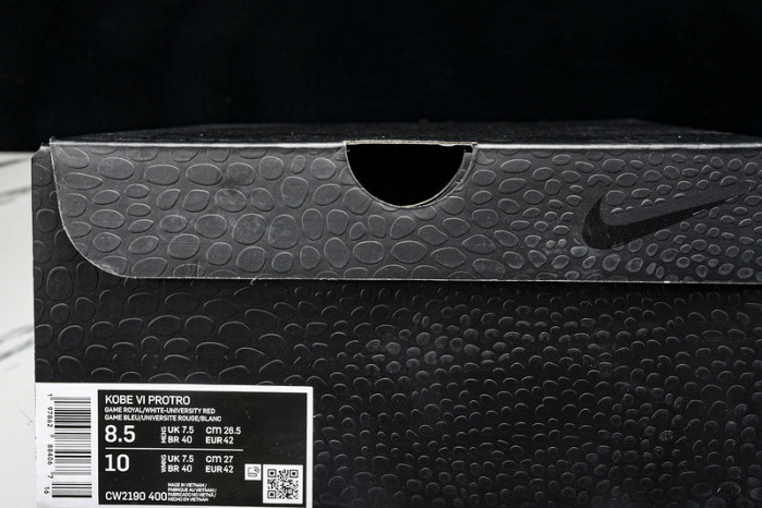 Nike Kobe 6 Protro “Dodgers” CW2190--400