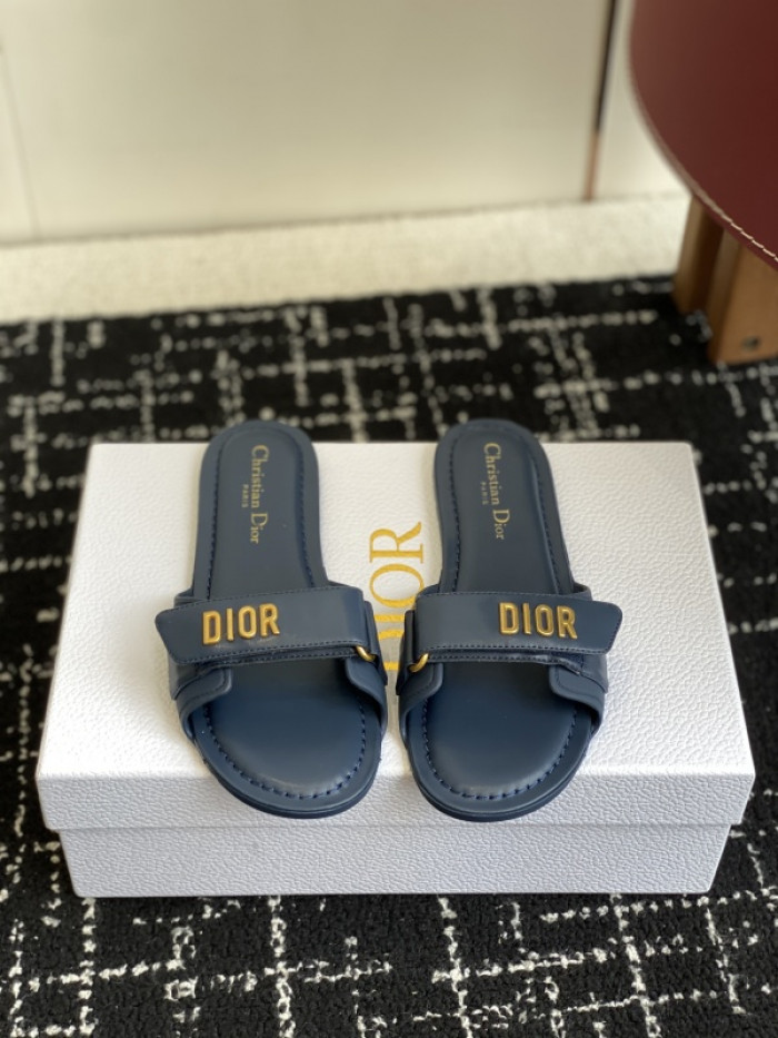 D10r slides ds-084