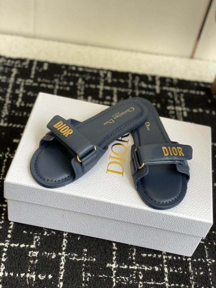 D10r slides ds-084